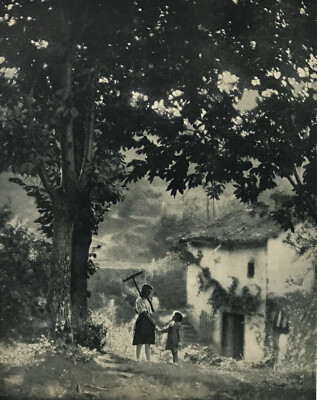 Baso Los Castanos 1922 Bilddruck von Jose Maria Buerba 1873-1933