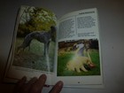 Bild 8 von 9