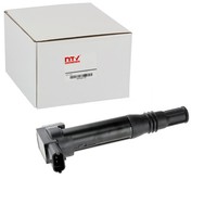 NTY ZÜNdspule Passend FüR CitroËN C-ELYSEE C1 C3 C4 DS3 DS DS Opel Corsa