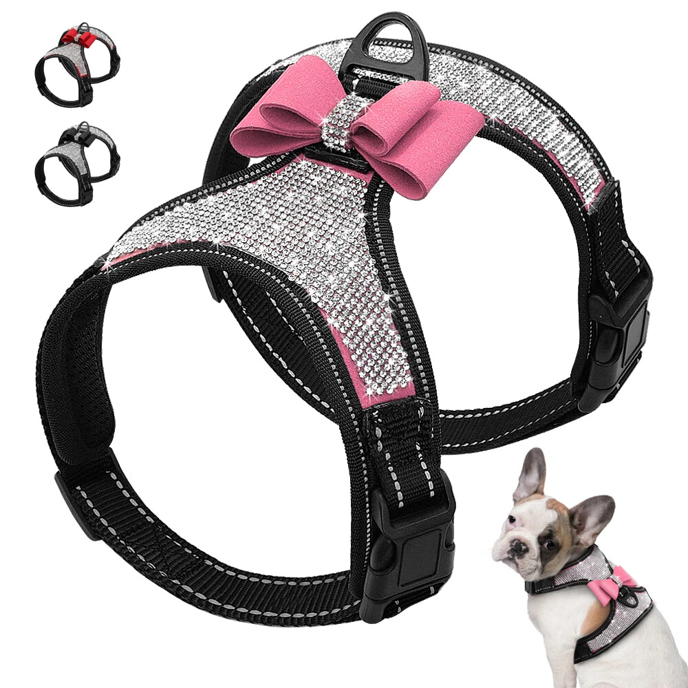 Bulldog français Harnais pour petits chiens en cuir chiot Argent Strass S M  L