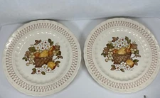 Set Of 2 Vernon Ware By Metlox Dinner Plates 10 1/2” Plates Vtg Made In USA