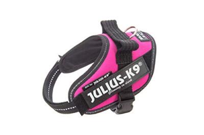 Julius-K9, 16IDC-DPN-MM, IDC Powerharness, dog harness, Size: XS
