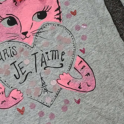 Gap Kids Shirt Pink Paris LOVE Cat 100% Cotton Long Sleeve Top girls Size XL 12 - Picture 3 of 3