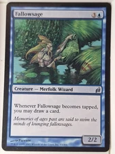 Fallowsage - Lorwyn - Magic the Gathering MTG Nice!
