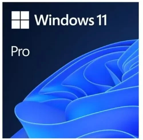 Microsoft Windows 11 Professional  64 Bit -