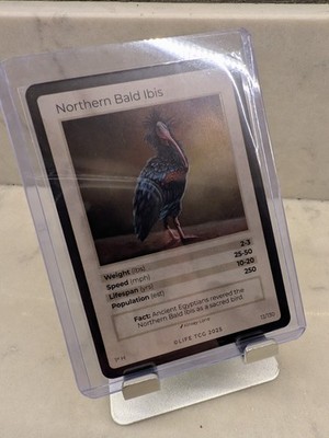 Life TCG Northern Bald Ibis Holo 13/130 - Pop 250