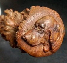 Ancienne Canne Neflier Chien D…