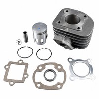 MotoLibre Zylinderkit 50Ccm 2-Takt AC (FüR: Rivero Phoenix 50 WBT7A 06-14 )