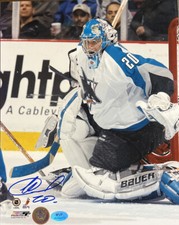 San Jose Sharks Signed Evgeni Nabakov 8x10 Stevie Y Authentic Hologram 