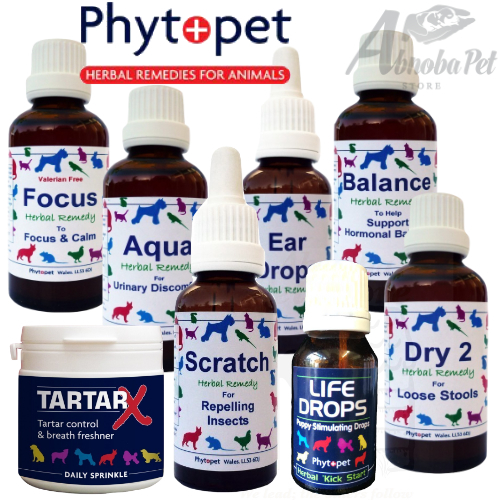 Phytopet Full Range of Natural Herbal & Homeopathic Remedies Dog Cat & Whelping - Imagen 1 de 106