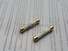 1x Silver Alloy Power Fuse Gold Cap 5x20mm 2A 5A 6x32mm Slow blow Fuses
