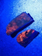 Natural Hackmanite Rough Stones 2 Pcs Fluorescent UV Reactive Color Changing