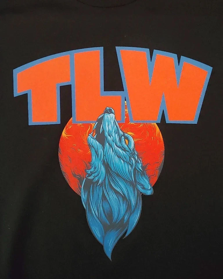 Personalized Custom T-Shirt Customized w/Photo, Text, Logo on Gildan Shirts - Image 2 of 4