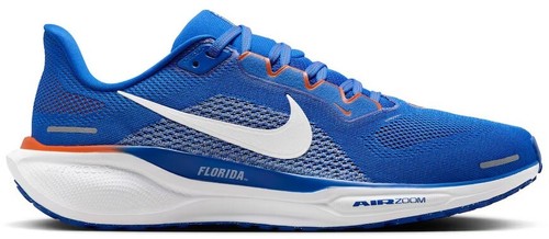 Nike Air Zoom Pegasus 41 Volt Shoes FD2722-701 | eBay
