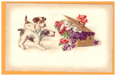 CAT & DOG / HIDE AND SEEK GAME in floral wicker trunk