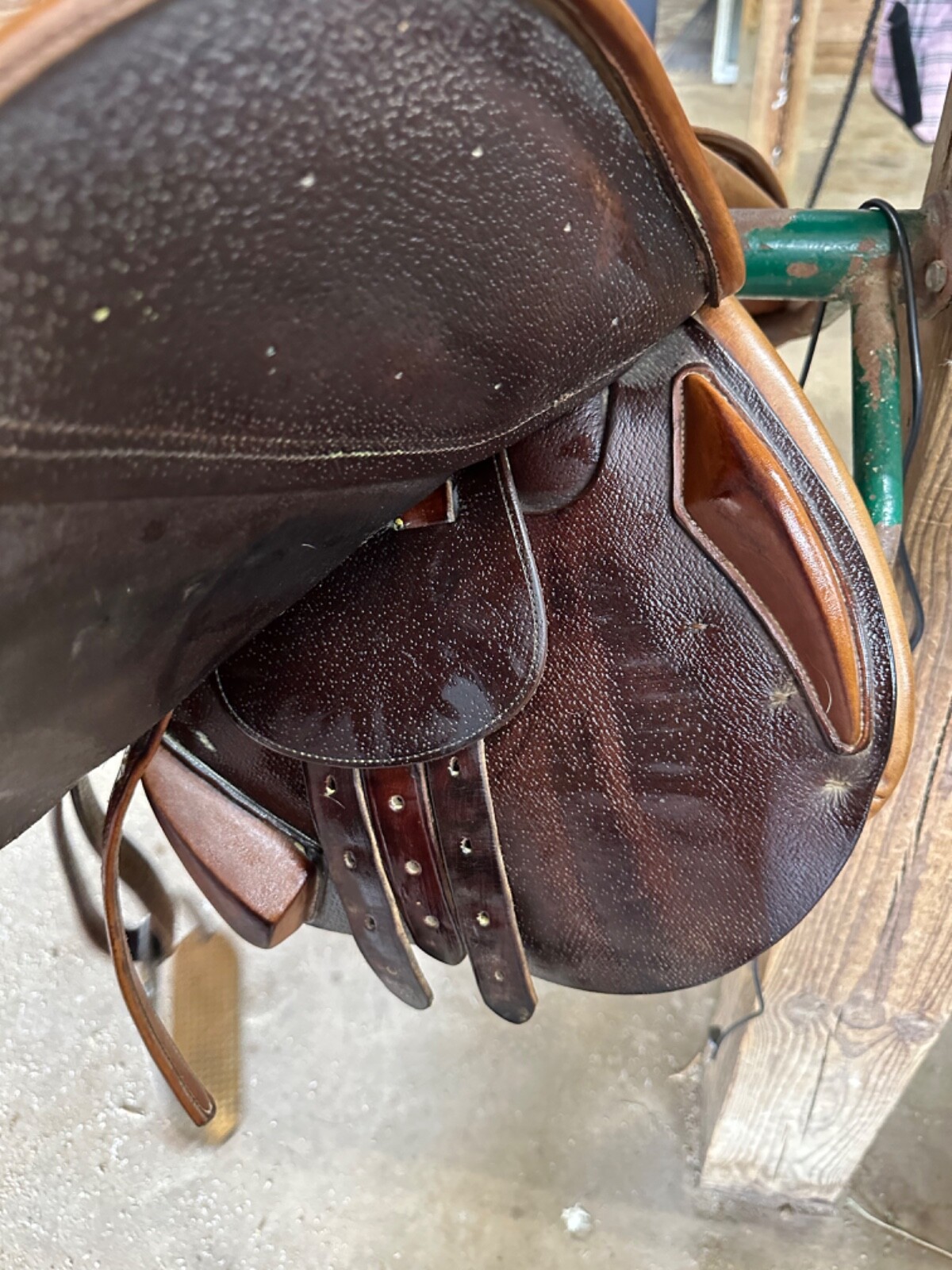 english saddle eBay