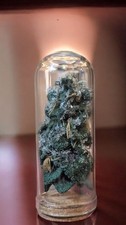 Replica Marijuana Cannabis Bud Embroidery Thread Sculpture in glass dome kief