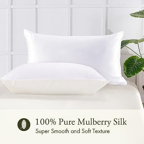 LILYSILK 100 Pure Mulberry Silk Pillowcase Cover for Hair with - Main Image