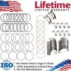 Main & Rod Bearings and Piston Rings For Chevrolet Tahoe Silverado LS 4.8L 5.3L