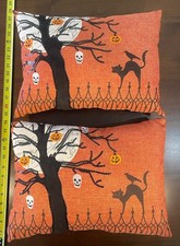 Set of 2 Halloween Themed Throw Pillows Black Cat Spooky Skulls