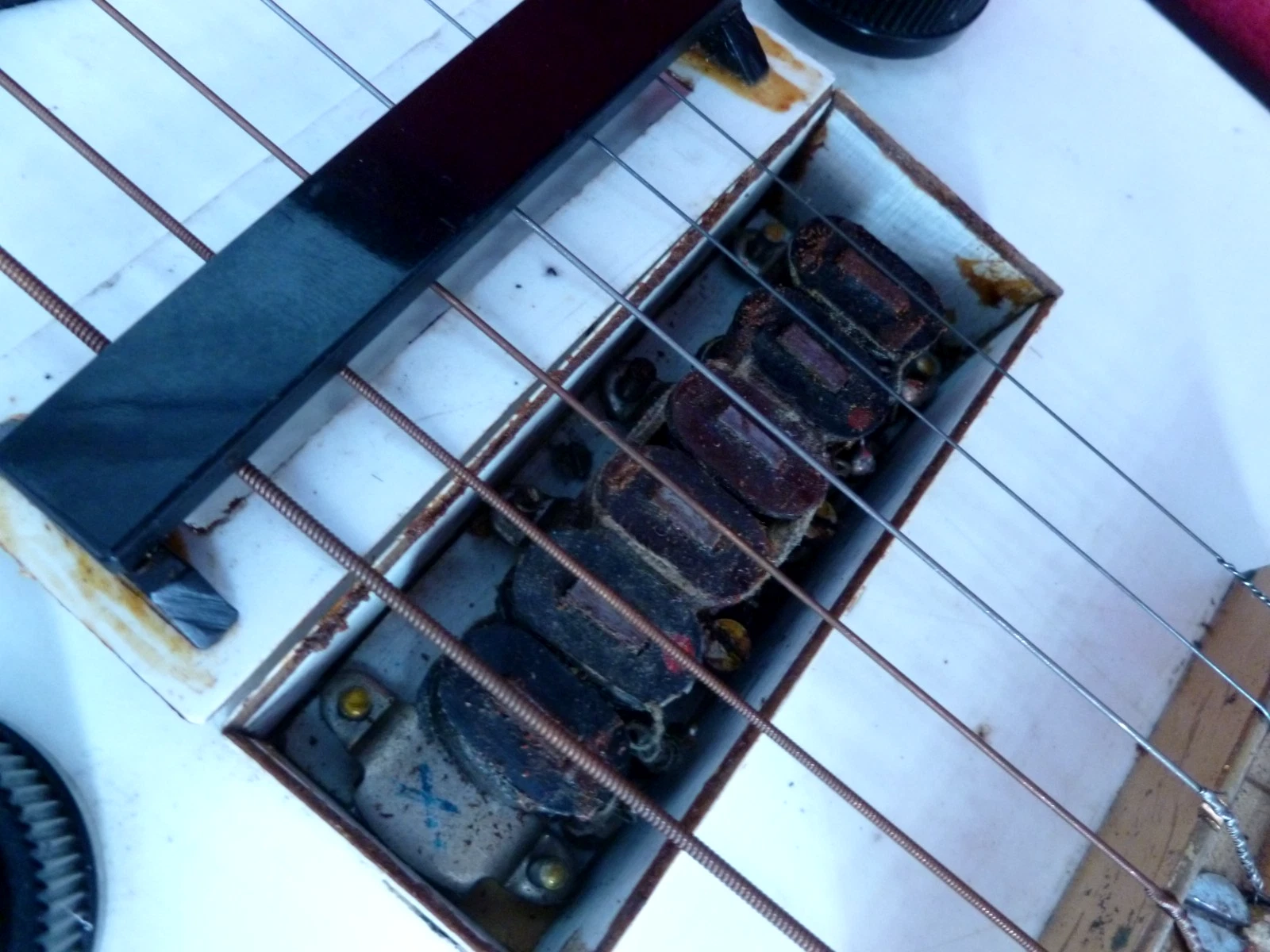 Picture 15 of 24