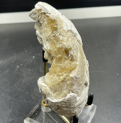 Calcite Clam Rucks Pit, Fort Drum, Okeechobee County, Florida Uv