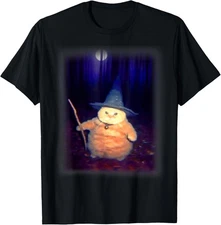 Wizard Cat Weird Funny Halloween Cat Meme TShirt
