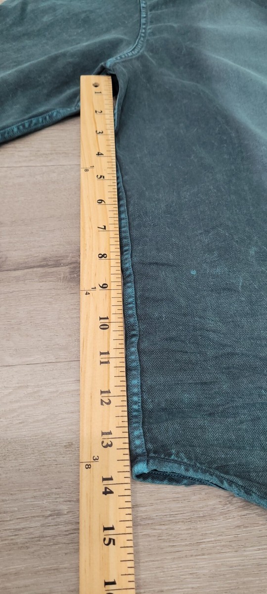 Frank & Eileen Luke Button Up in Overdyed Indigo Green Size S NWOT