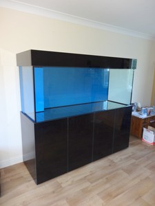 6ft fish tank