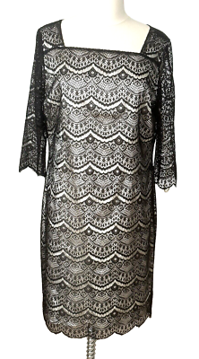 alex marie lace dress NWT Alex Marie Kate V-Neck Flutter Sleeve