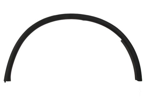 Left Rear BLIC 5703-08-0926373PP Trim/Protection Strip, wing for DODGE