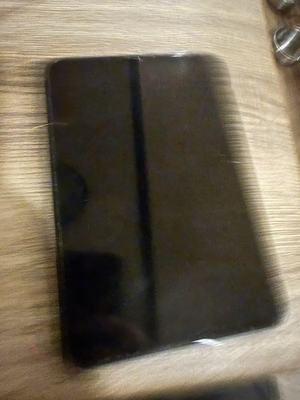 #ad Water Damaged 6th Gen iPad Mini Comes With Otter Box PARTS ONLY $49.99