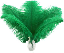 Green Ostrich Feathers Bulk - 24pcs 10-12inch Feathers for Vase, Wedding Part...