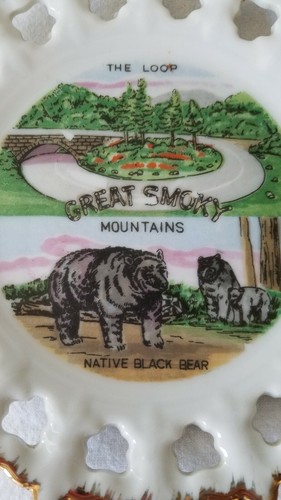 7 1/8" Lattice Edge Porcelain Wall Plate Advertising Great Smoky Mountains - Picture 2 of 6