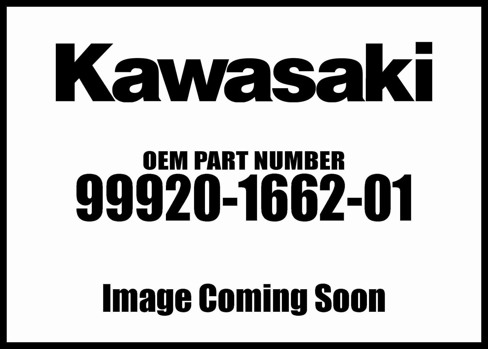 Kawasaki 1994 Ninja Own Man Zx1100d2 99920-1662-01 New OEM 