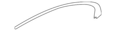 Genuine Jaguar Window Molding T4K9704