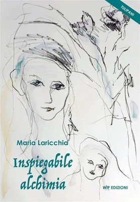 Maria Laricchia Inspiegabile alchimia (Gebundene Ausgabe)