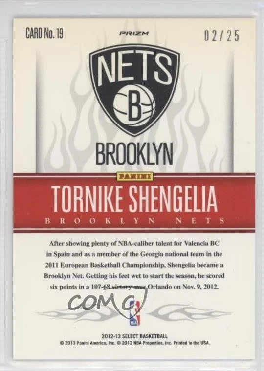 2012-13 Panini Select Hot Rookies Silver Prizm /25 Tornike Shengelia #19 RC - Image 2 of 2