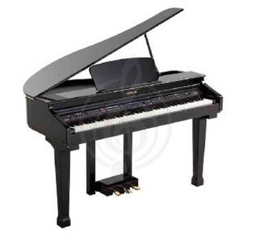ORLA    GRAND 5OO Digital Piano - Black  (LOCAL DELIVERY AVAILABLE, CONTACT US)!