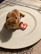 Ty Beanie Babies Paul the Walrus DOB February 25, 1999 MWMT Free Shipping