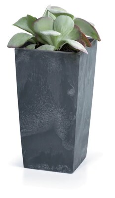 blumenkasten mit windschutz Sichtschutz Pflanzkasten aus Aluminium mit Glaswand – Pflanzmetall main image 1
