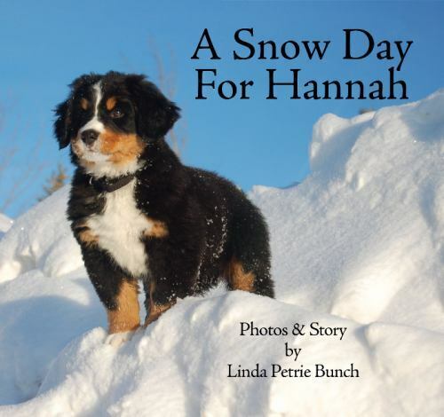 A Snow Day for Hannah [Mountain Dog Books] - Picture 1 of 1
