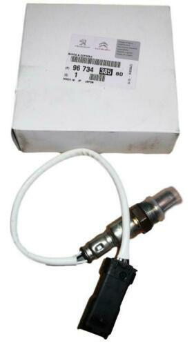 BRILLIANT TOOLS BT606000 - Bussola Per Sonda Lambda Extra Piatta 1/2 - Per Meccanica E Fai Da Te - Foto 11