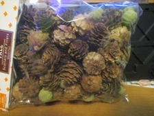 Fall Scatters and Fillers Pinecones - Mini Green Pumpkins