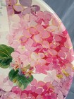 Bild 11 von 12