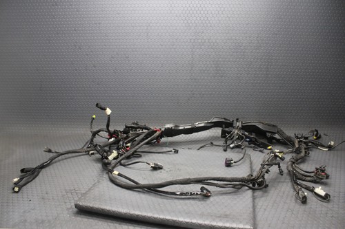 2018-2019 Harley Davidson Ultra Twin Cooled 107 M8 Non ABS Main Wiring Harness