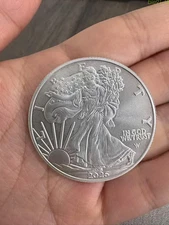 2025 1 oz Silver American Eagle $1 Coin BU - Capsule