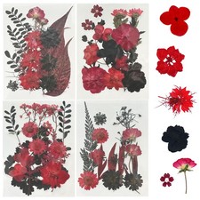 Dried Flowers for Resin Molds 4 Pack 64 Pcs Black Red Pressed Leaves