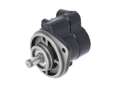 Servopumpe DT Spare Parts 7.13202 Lenkhilfepumpe Hydraulikpumpe