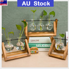 AU Wooden Stand Hanging Glass Terrarium Container Hydroponics Pot Vase Decor